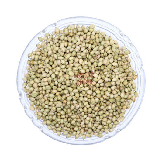 Coriander
